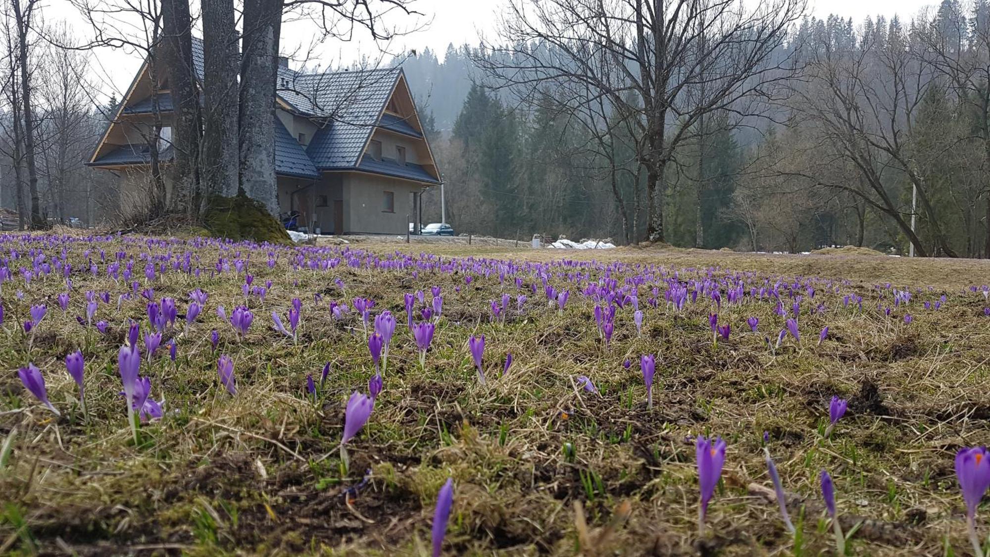 Dom Na Skraju Lasu Юргув Екстер'єр фото